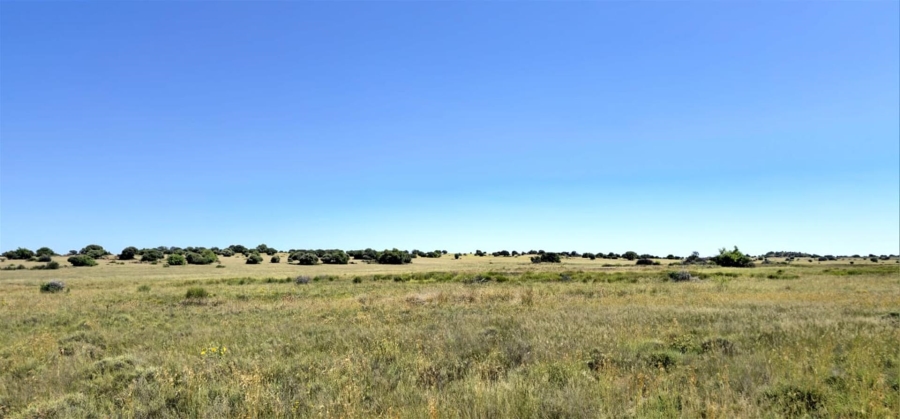 Commercial Property for Sale in Mangaung Free State